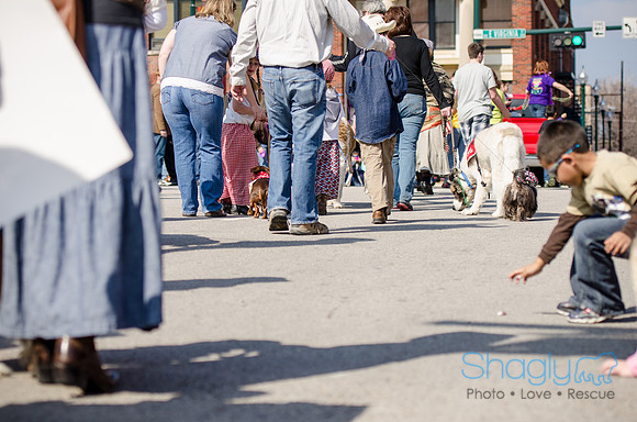 Krewe of Barkus 2012-179