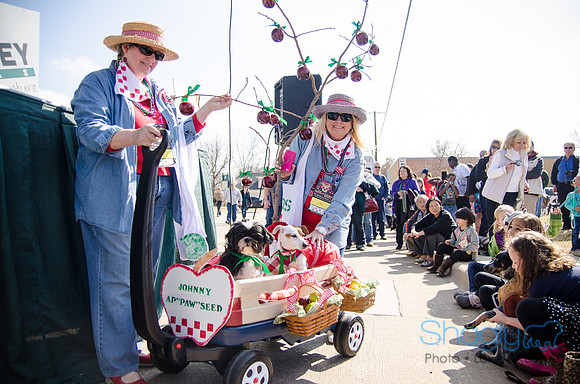 Krewe of Barkus 2012-293