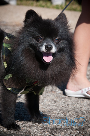Richardson Pet Day-0261