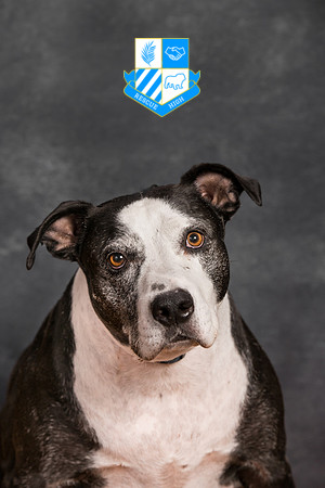 Checkers Clark