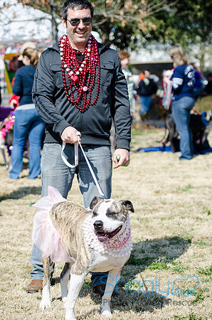 Krewe of Barkus 2012-83