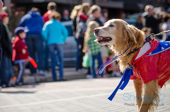 Krewe of Barkus 2012-228