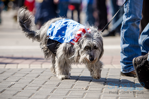 Krewe of Barkus 2012-227