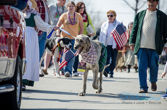 Krewe of Barkus 2012-162