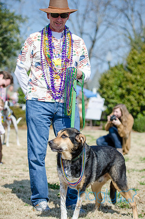 Krewe of Barkus 2012-11