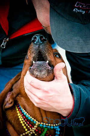 Krewe of Barkus-17