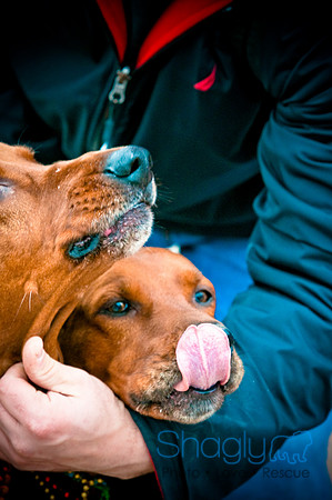 Krewe of Barkus-20