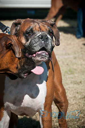 Richardson Pet Day-0403