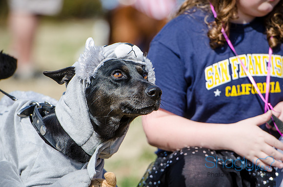 Krewe of Barkus 2012-129