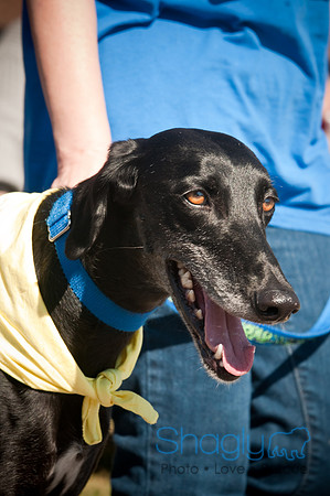 Richardson Pet Day-0244