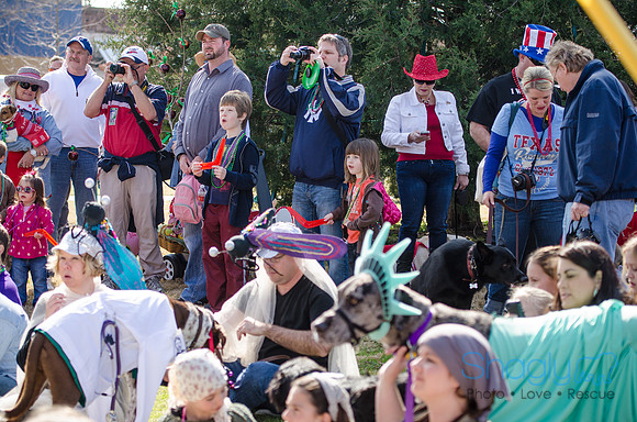 Krewe of Barkus 2012-288