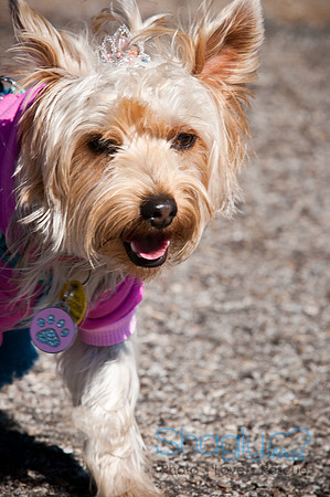 Richardson Pet Day-0289
