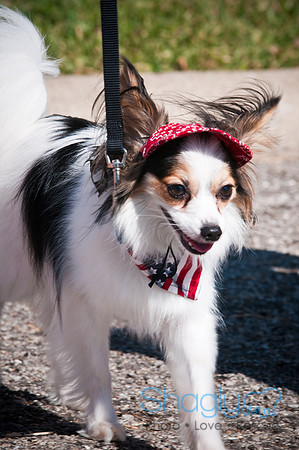 Richardson Pet Day-0297