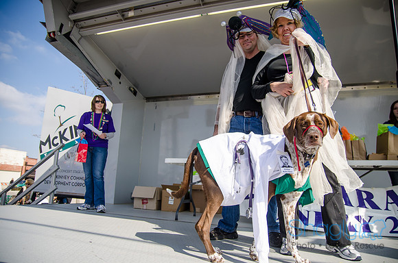 Krewe of Barkus 2012-294