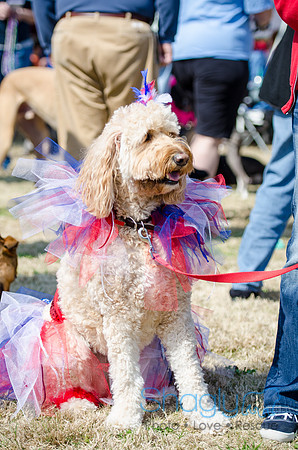 Krewe of Barkus 2012-70
