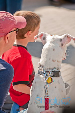 Krewe of Barkus 2011-60