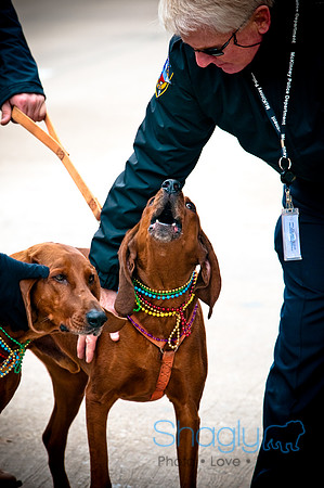 Krewe of Barkus-6