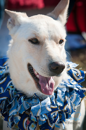 Richardson Pet Day-0413
