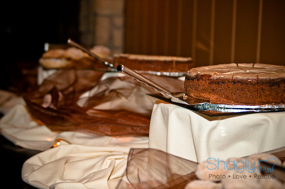 Talia and Ramon Wedding-349