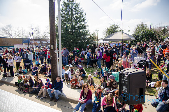 Krewe of Barkus 2012-291