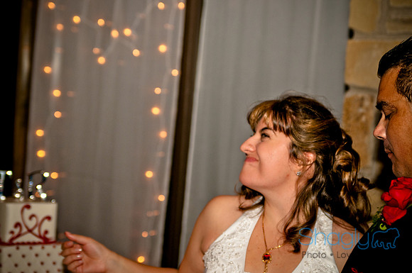 Talia and Ramon Wedding-386