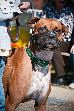 Richardson Pet Day-0213