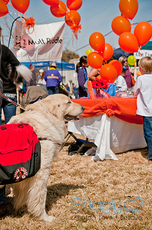 Krewe of Barkus 2011-42