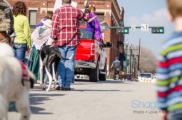 Krewe of Barkus 2012-168