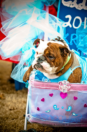 Krewe of Barkus-77