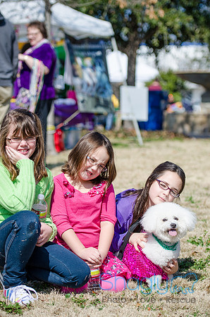 Krewe of Barkus 2012-15