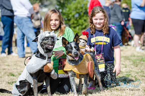Krewe of Barkus 2012-133