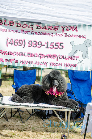 Krewe of Barkus 2012-126