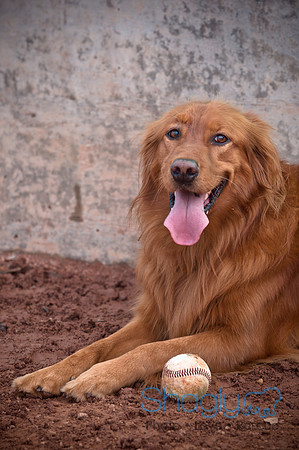 BarkinthePark-3935