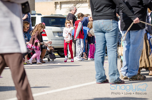 Krewe of Barkus 2012-169