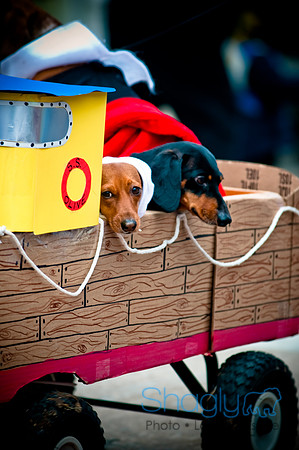 Krewe of Barkus-43