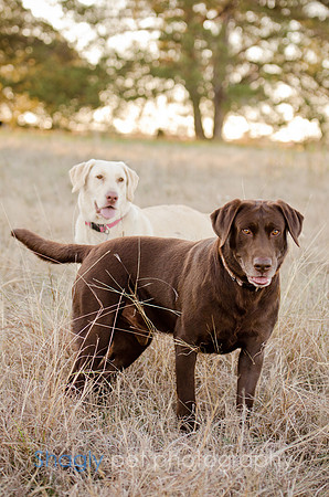 Sherman and Olivia-30