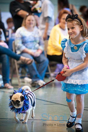 PugOWeen-3302
