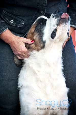St.Clouds Rescue-2637