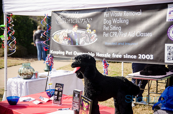 Krewe of Barkus 2012-336