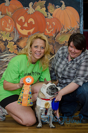 PugOween-172
