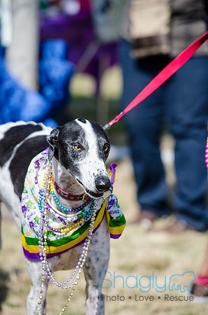 Krewe of Barkus 2012-46