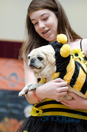 PugOween-121