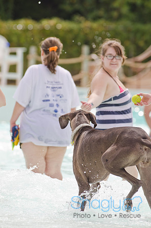 Wags and Waves 2011-150
