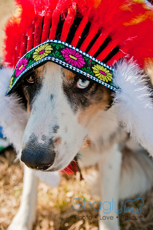 Krewe of Barkus 2011-156