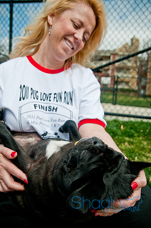 Pug Love Fun Run-233