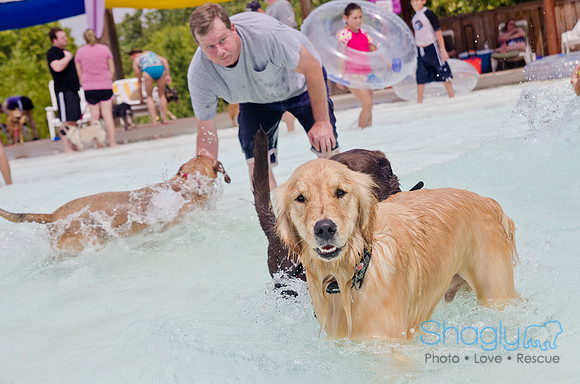 Wags and Waves 2011-261