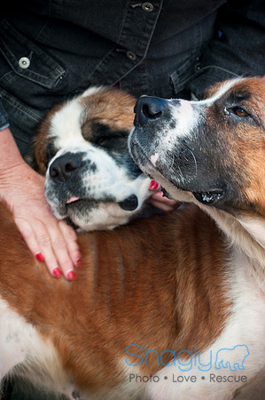 St.Clouds Rescue-2643