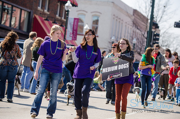 Krewe of Barkus 2012-204