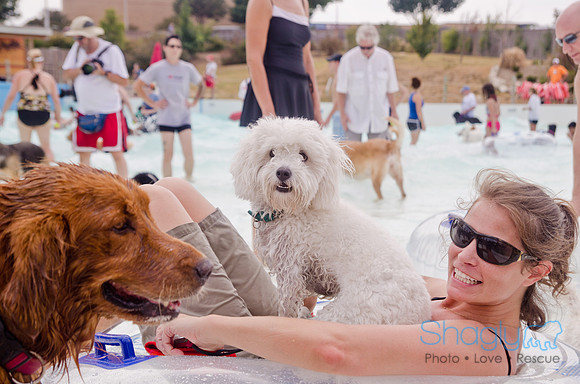 Wags and Waves 2011-268