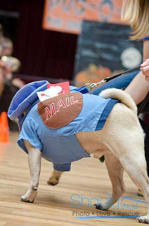 PugOween-28